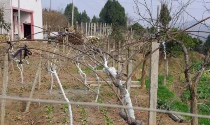 1720080940381346.jpg QQ截圖20240704155952.jpg